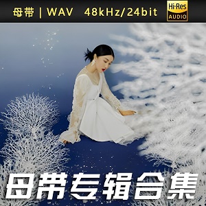 蒋雪儿-WAV母带专辑合集-WAV-A333-九好无损音乐网