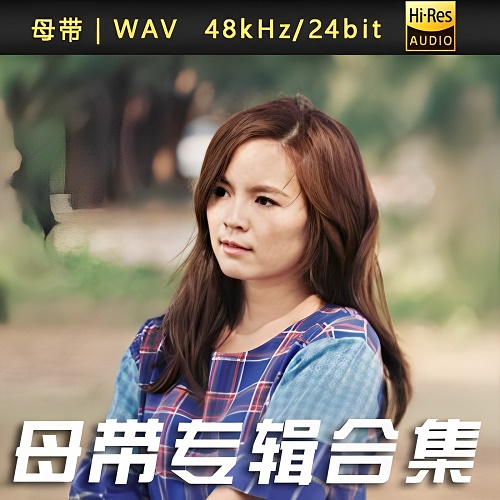 王蓝茵-WAV母带专辑合集-WAV-A512-无损音乐下载-九好音乐