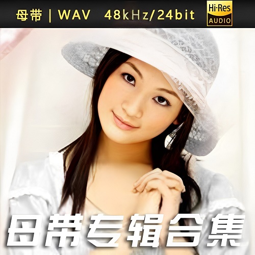 段银莹-WAV母带专辑合集-WAV-A513-无损音乐下载-九好音乐