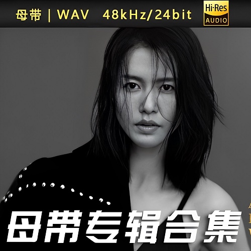 谭维维-WAV母带专辑合集-WAV-A515-无损音乐下载-九好音乐