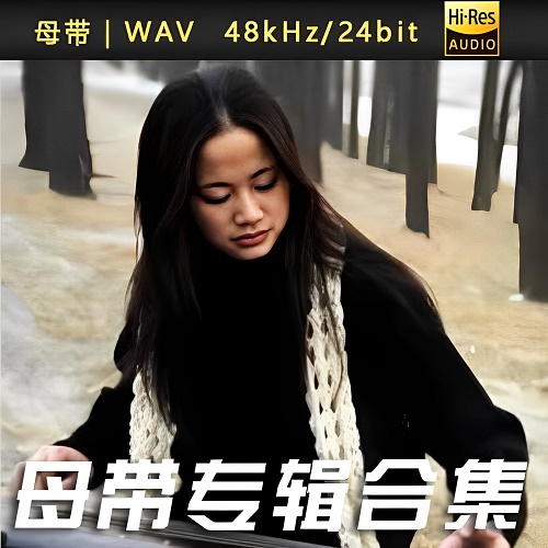 著名古琴艺术家巫娜-WAV母带专辑合集-WAV-A530-无损音乐下载-九好音乐