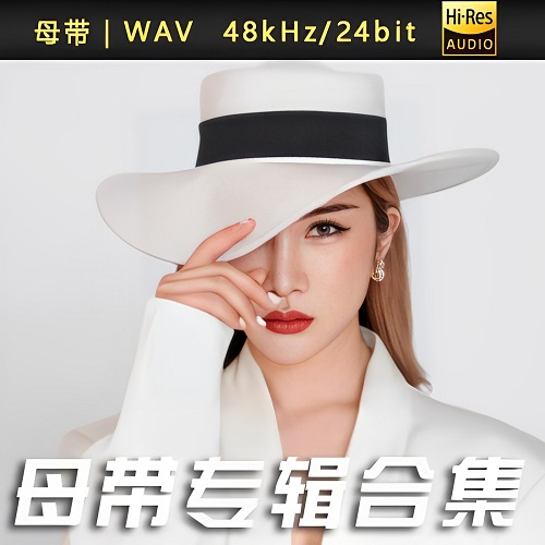 许佳慧-WAV母带专辑合集-WAV-A541-无损音乐下载-九好音乐