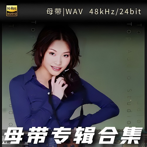 许美静-WAV母带专辑合集-WAV-A687-无损音乐下载-九好音乐