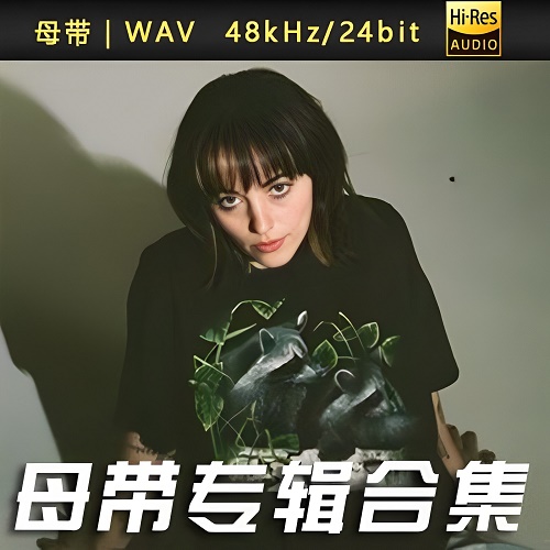 Sasha Alex Sloan-WAV母带专辑合集-WAV-A306-无损音乐下载-九好音乐