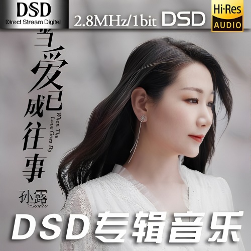 “疗伤歌后”孙露《当爱已成往事》-DSF-A716-无损音乐下载-九好音乐