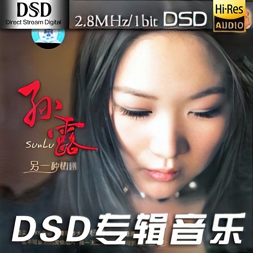 给经典流行歌曲添加时代的味道,孙露《另一种情感》-DSF-A720-无损音乐下载-九好音乐