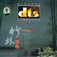 葫芦丝《FIHI宝典系列之竹林深处》韵味风雅[5.1声道-DTS-WAV]-无损音乐下载-九好音乐