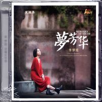 李梦瑶《梦芳华》声音沙哑、魅惑、磁性中藏着一股小野性-WAV-B617-无损音乐下载-九好音乐