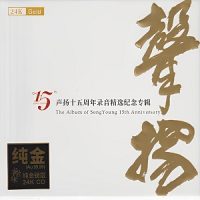 群星《声扬十五周年录音精选纪念专辑》-WAV-B625-无损音乐下载-九好音乐