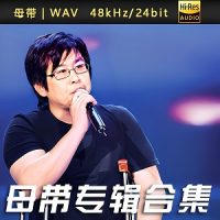 郑智化-WAV母带专辑合集-WAV-B503-无损音乐下载-九好音乐
