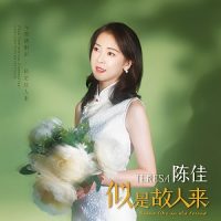 陈佳《似是故人来》陈佳全新粤语专辑-WAV-B572-无损音乐下载-九好音乐