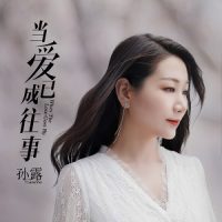 孙露《当爱已成往事》嗓音独特饱含张力-WAV-B693-无损音乐下载-九好音乐