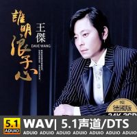 【试听】王杰-谁明浪子心-[5.1声道-DTS-WAV]-无损音乐下载-九好音乐