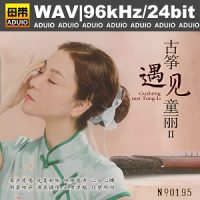 童丽《古筝遇见童丽2》头版限量编号2023-WAV-B865-无损音乐下载-九好音乐