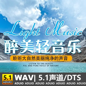 【试听】5.1声道-中国最美轻音乐-[5.1声道-DTS-WAV]-无损音乐下载-九好音乐