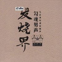 多声道-发烧界勾魂男声DTS-WAV-C021-无损音乐下载-九好音乐
