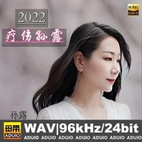 孙露《疗伤孙露》2022-WAV-C158-无损音乐下载-九好音乐