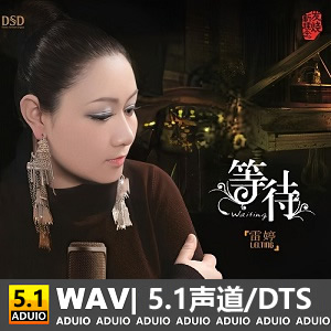 浪漫至极的魔音,雷婷《等待》[5.1声道-DTS-WAV]-无损音乐下载-九好音乐