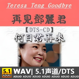 真正dts格式5·1声道录制《再见邓丽君-何日君再来》_一帘幽梦mp3免费在线试听无损音乐下载_九好无损音乐网