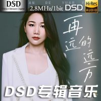 孙露《再远的远方》DSD专辑-DFF-C724插图