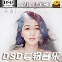 孙露《怎样遇见你》DSD专辑-DFF-C727-无损音乐下载-九好音乐
