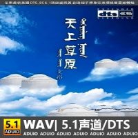 童彤《天上草原》[5.1声道-DTS-WAV]-C460-无损音乐下载-九好音乐