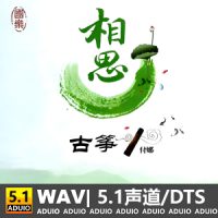 付娜《相思》[5.1声道-DTS-WAV]-C381-无损音乐下载-九好音乐