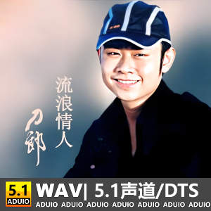 刀郎 《流浪情人》[5.1声道-DTS-WAV]-无损音乐下载-九好音乐