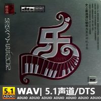 环绕HiFi音效DJ《乐》[5.1声道-DTS-WAV]-C466-无损音乐下载-九好音乐