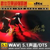 李维《琴话》[5.1声道-DTS-WAV]-C406-无损音乐下载-九好音乐