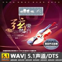 赵坤宇《东方弦梦》[5.1声道-DTS-WAV]-C440-无损音乐下载-九好音乐