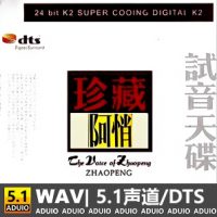 阿悄《试音天碟》[5.1声道-DTS-WAV]-C206-无损音乐下载-九好音乐